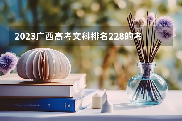 2023广西高考文科排名228的考生报什么大学好 往年录取分数线