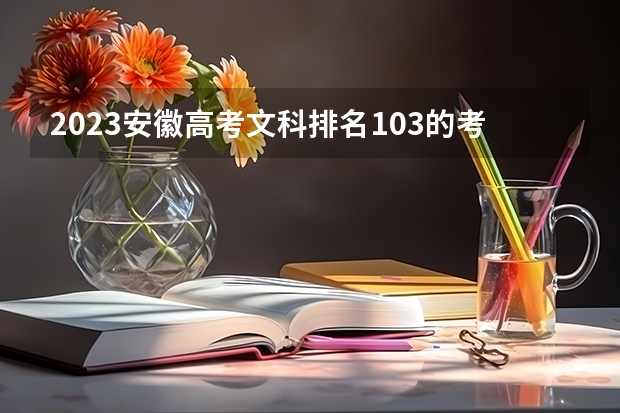 2023安徽高考文科排名103的考生报什么大学好 往年录取分数线