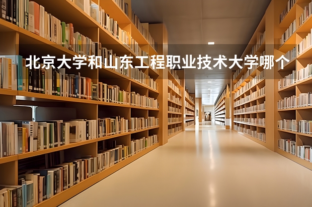 北京大学和山东工程职业技术大学哪个值得报