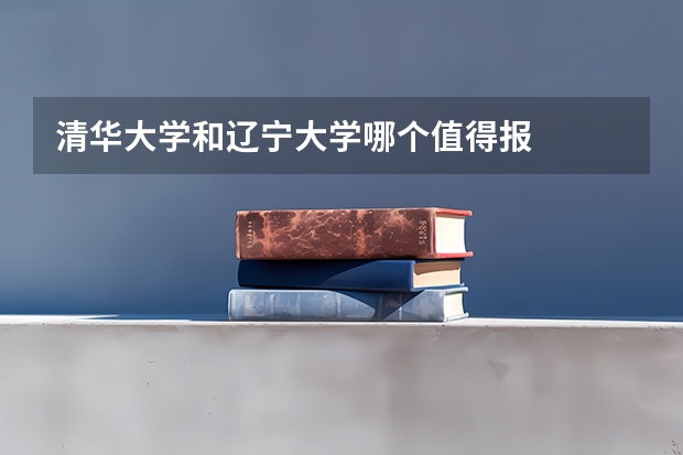 清华大学和辽宁大学哪个值得报