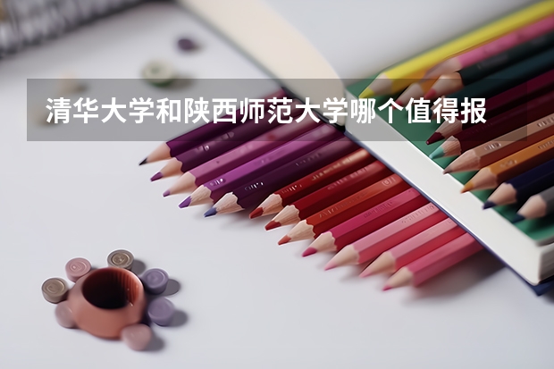 清华大学和陕西师范大学哪个值得报