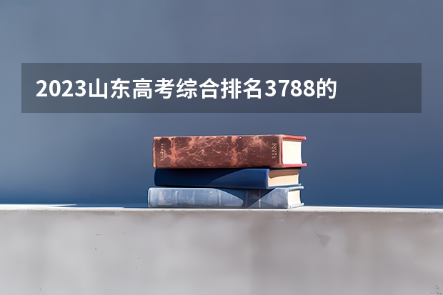 2023山东高考综合排名3788的考生报什么大学好 往年录取分数线