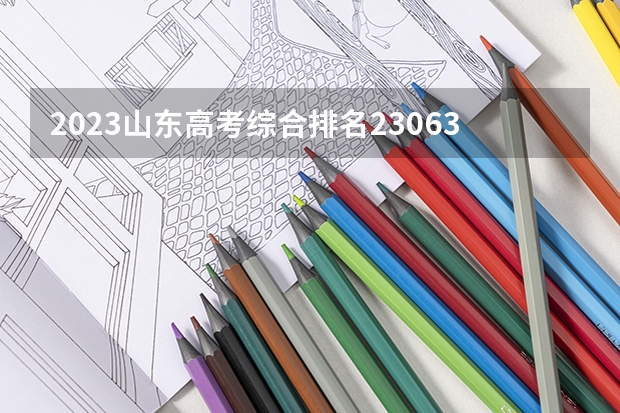 2023山东高考综合排名23063的考生报什么大学好 往年录取分数线