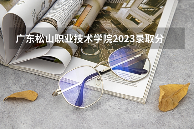 广东松山职业技术学院2023录取分数线（广东松山职业技术学院多少分能上）