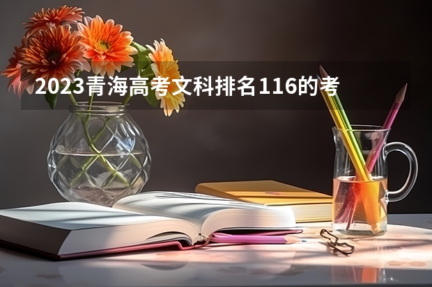 2023青海高考文科排名116的考生报什么大学好 往年录取分数线