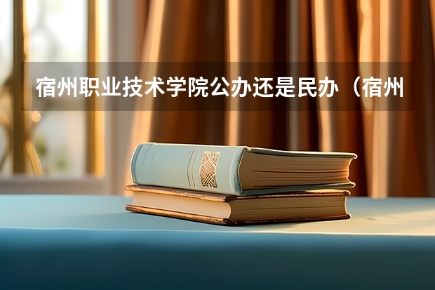 宿州职业技术学院公办还是民办（宿州职业技术学院介绍）