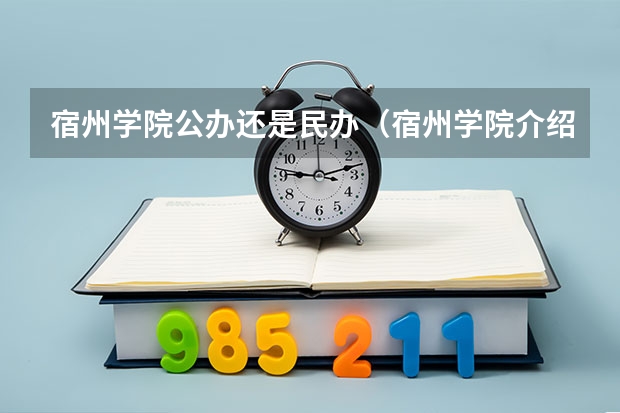 宿州学院公办还是民办（宿州学院介绍）