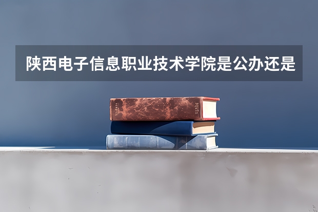 陕西电子信息职业技术学院是公办还是民办（陕西电子信息职业技术学院的办学历史）