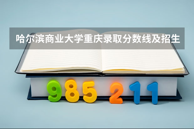 哈尔滨商业大学重庆录取分数线及招生人数