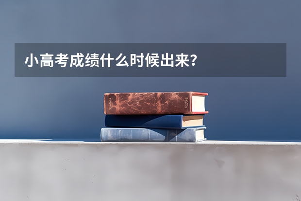 小高考成绩什么时候出来？