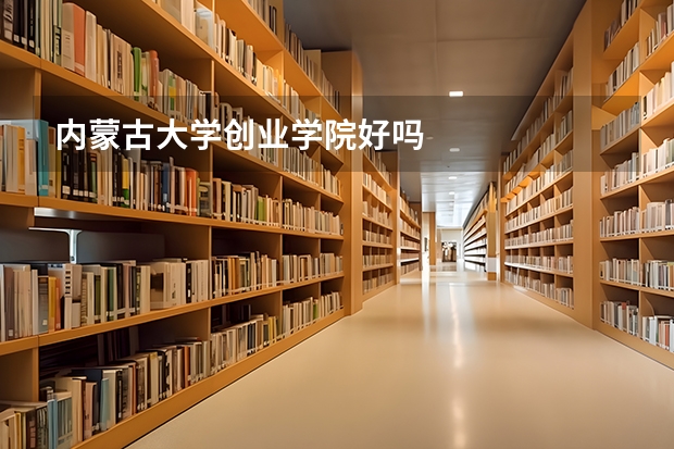 内蒙古大学创业学院好吗