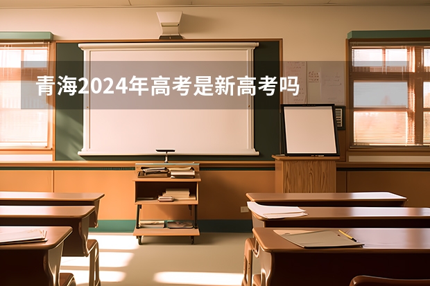 青海2024年高考是新高考吗