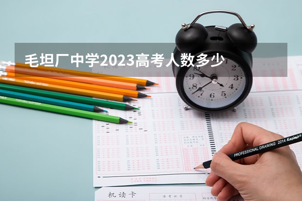 毛坦厂中学2023高考人数多少