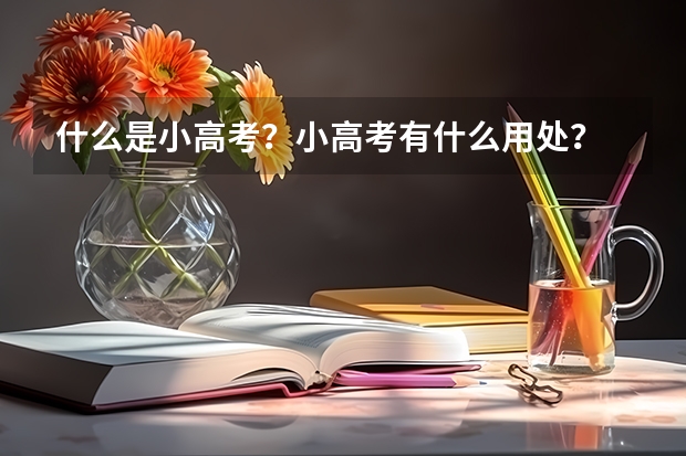 什么是小高考？小高考有什么用处？