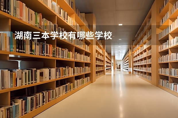 湖南三本学校有哪些学校