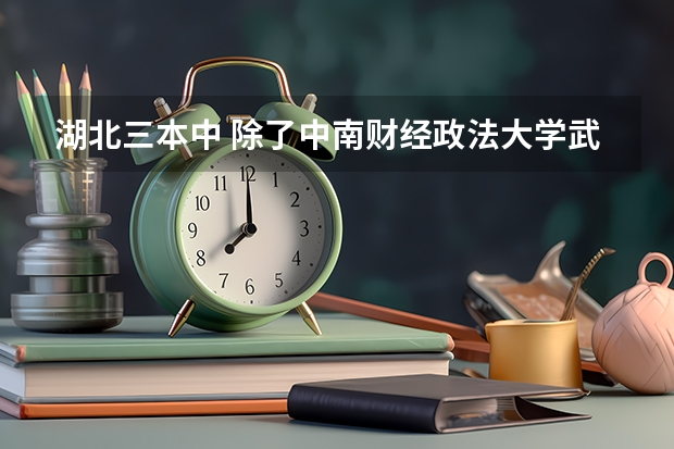 湖北三本中 除了中南财经政法大学武汉学院的会计专业好外还有哪个学校?