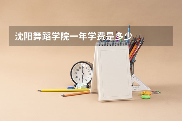 沈阳舞蹈学院一年学费是多少