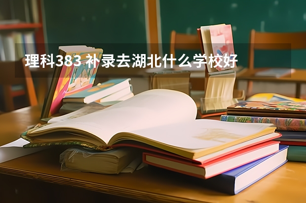 理科383 补录去湖北什么学校好