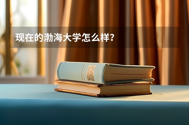 现在的渤海大学怎么样？