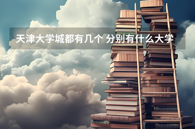 天津大学城都有几个 分别有什么大学 二本 三本的可以上么