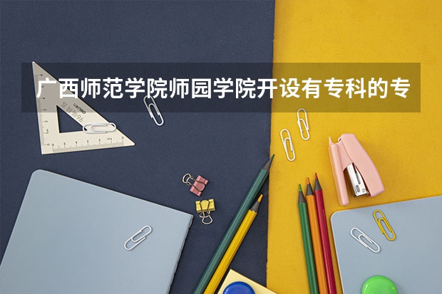 广西师范学院师园学院开设有专科的专业吗