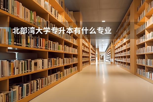 北部湾大学专升本有什么专业