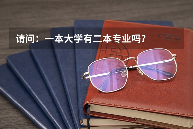 请问：一本大学有二本专业吗？