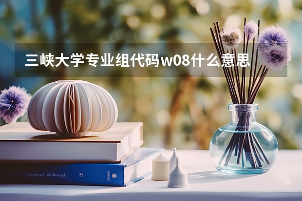 三峡大学专业组代码w08什么意思